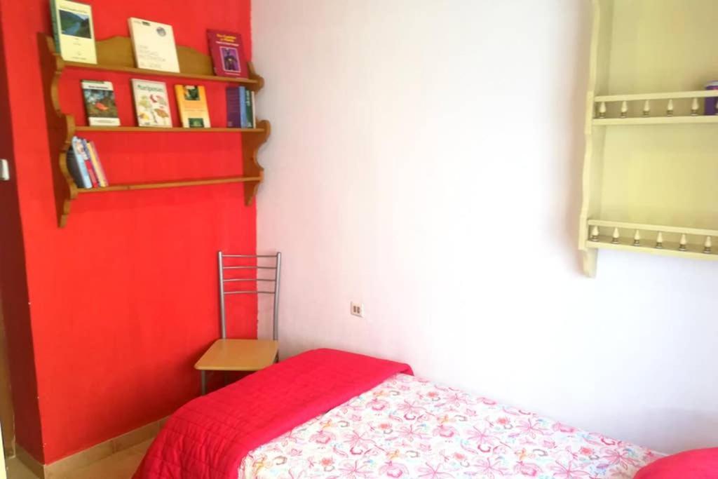 Bonito Apartamento Centro Onil Экстерьер фото