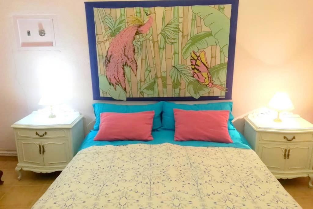 Bonito Apartamento Centro Onil Экстерьер фото