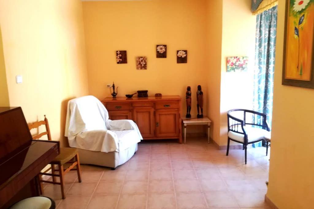 Bonito Apartamento Centro Onil Экстерьер фото